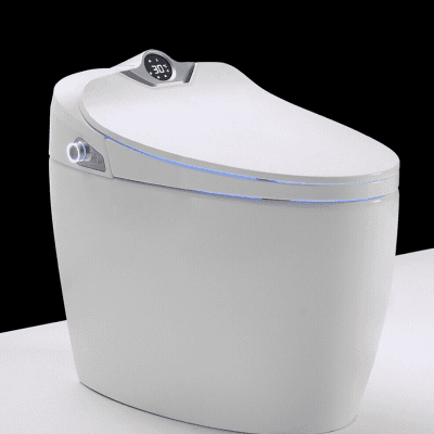 Bồn cầu thông minh mắt thần GBQ10